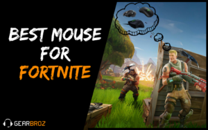 Best Mouse For Fortnite